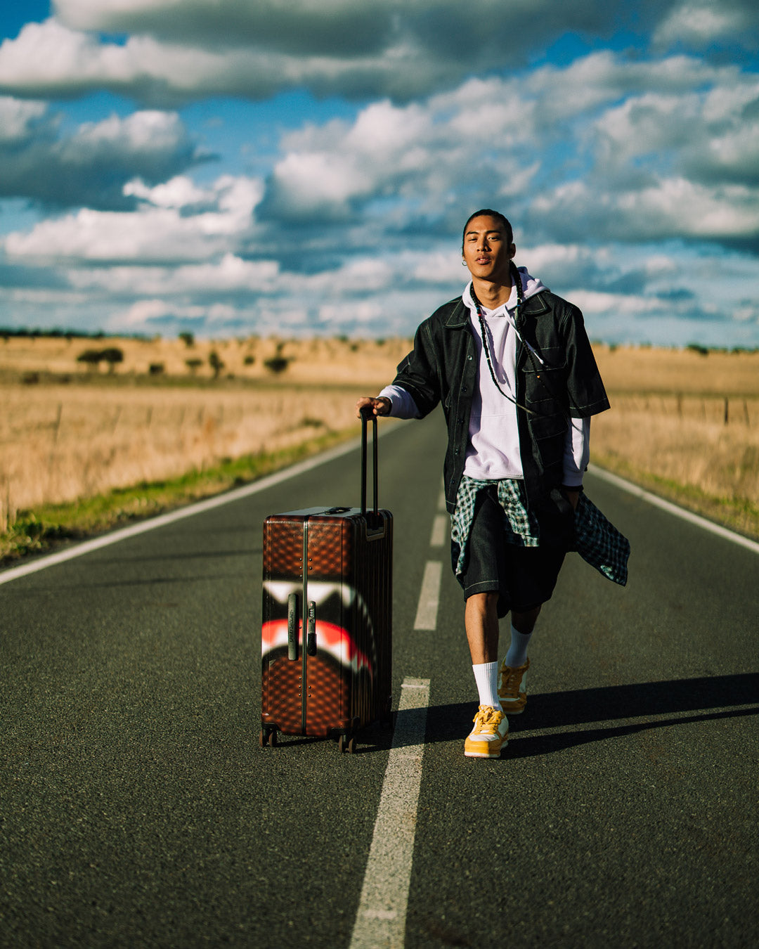 SHARKS IN PARIS BLUR EFFECT FULL SIZE LUGGAGE