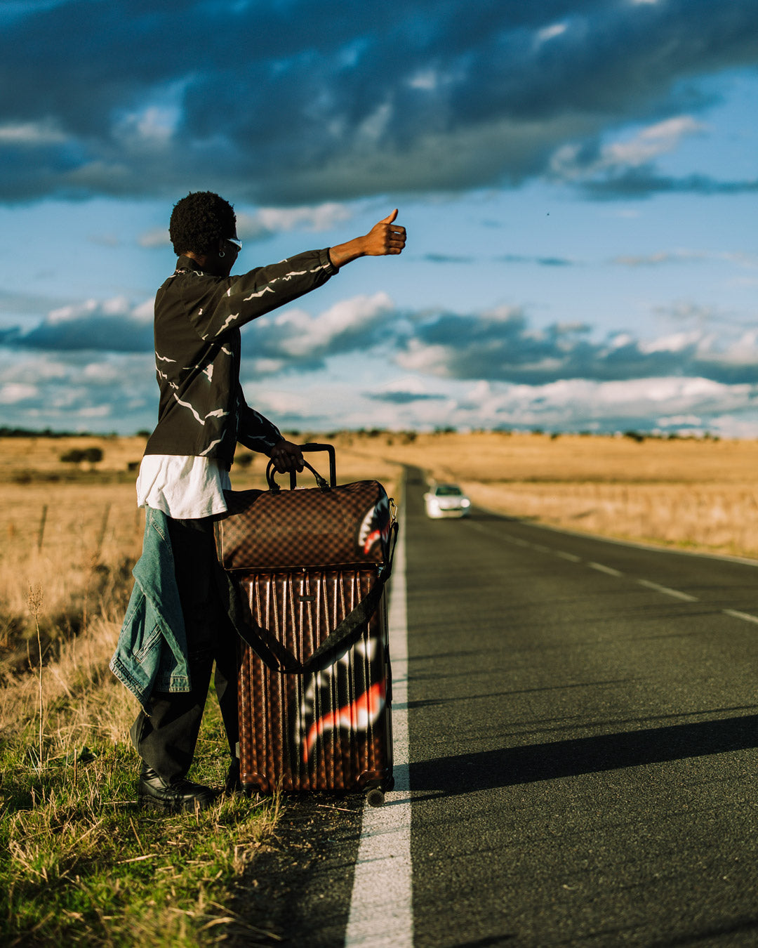 SHARKS IN PARIS BLUR EFFECT FULL SIZE LUGGAGE