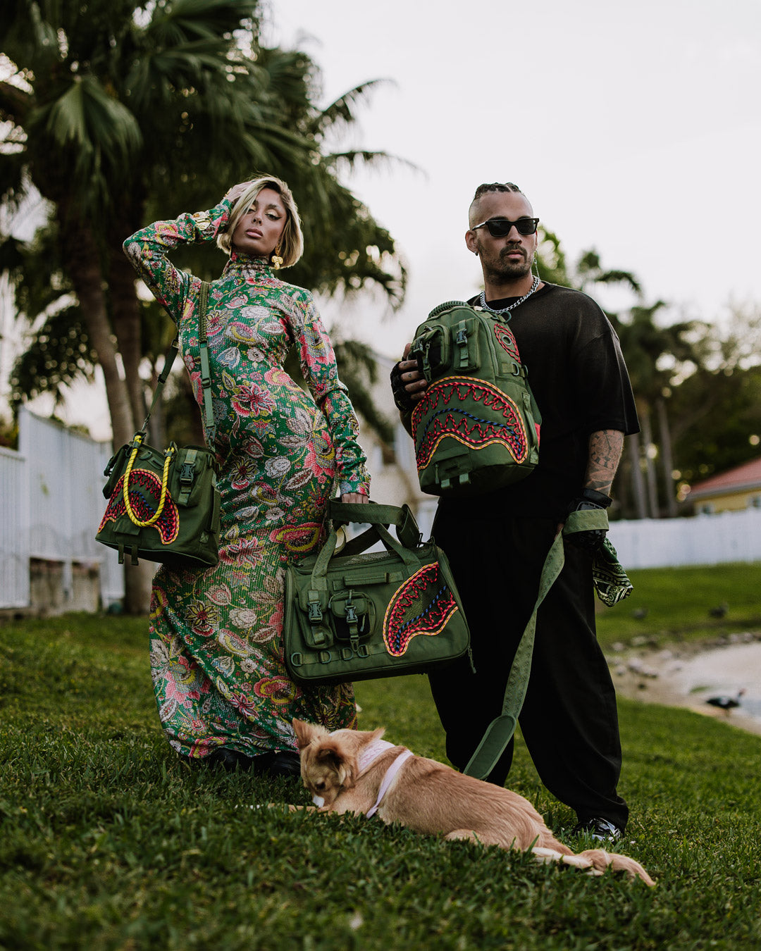 WON'T STOP TILL THE TOP PET CARRIER